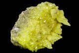 Lemon-Yellow Sulfur Crystals on Matrix - Bolivia #104771-1